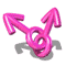 Gay